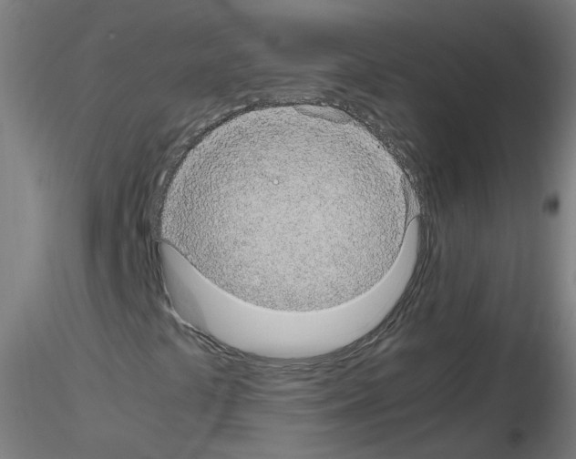 X0000116121441201001040940