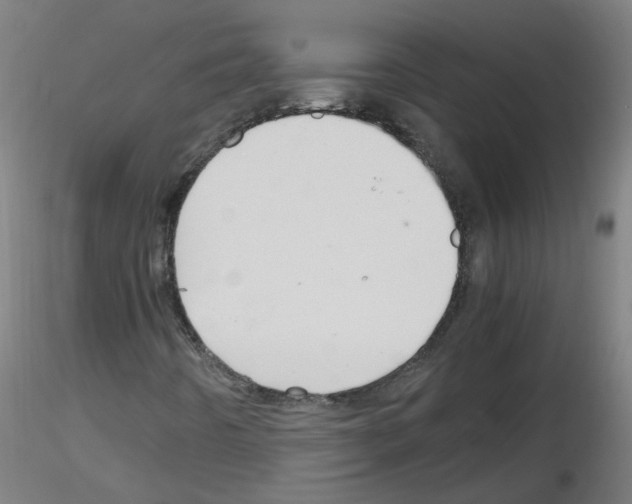 X0000116121442201001040940