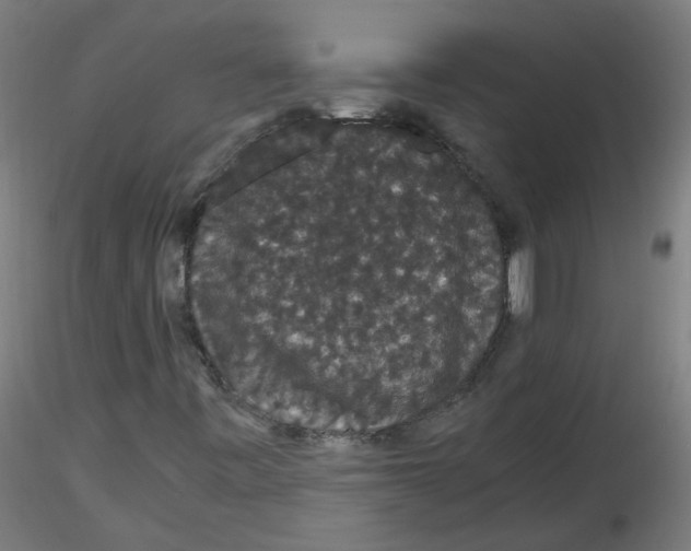 X0000116121443201001040940