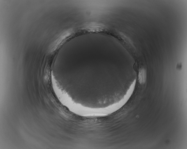 X0000116121444201001040940