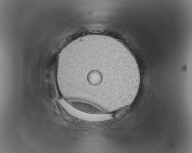 X0000116121445201001040940