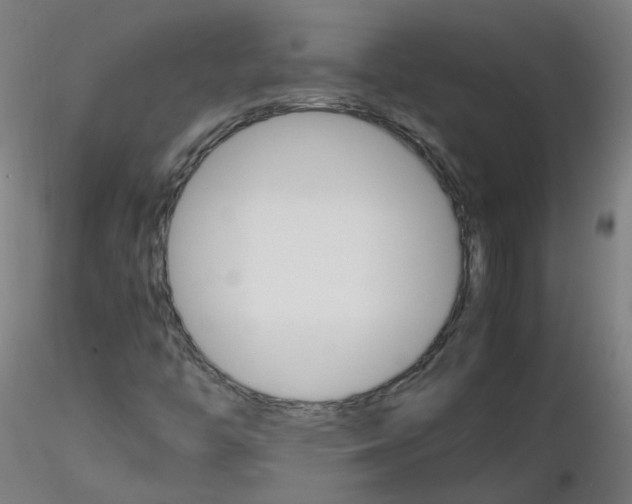 X0000116121446201001040940