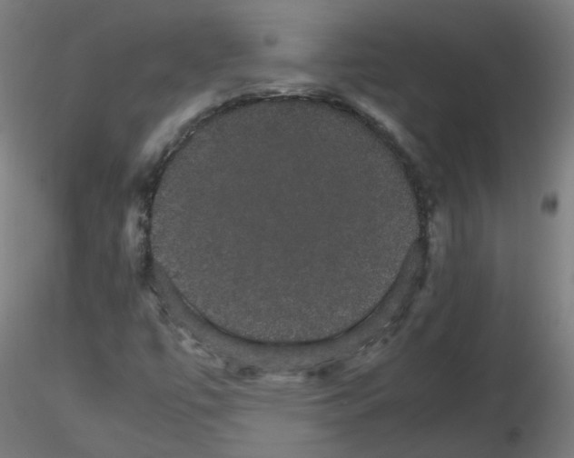 X0000116121447201001040940