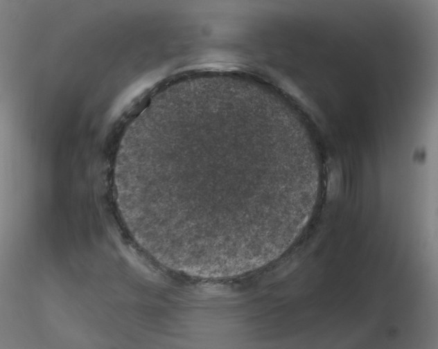 X0000116121448201001040940