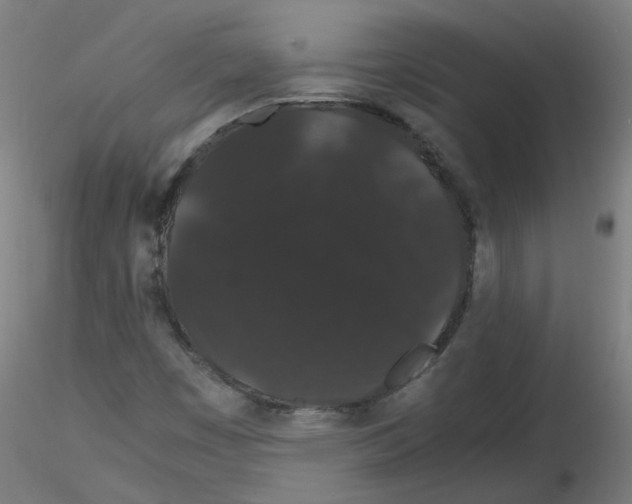 X0000116121449201001040940