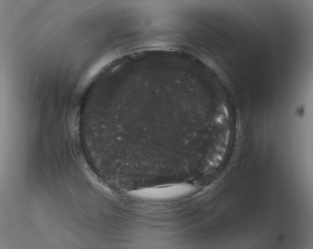X0000116121450201001040940