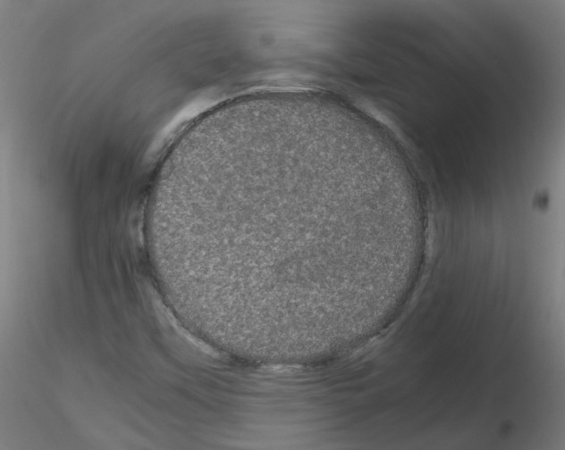 X0000116121451201001040940