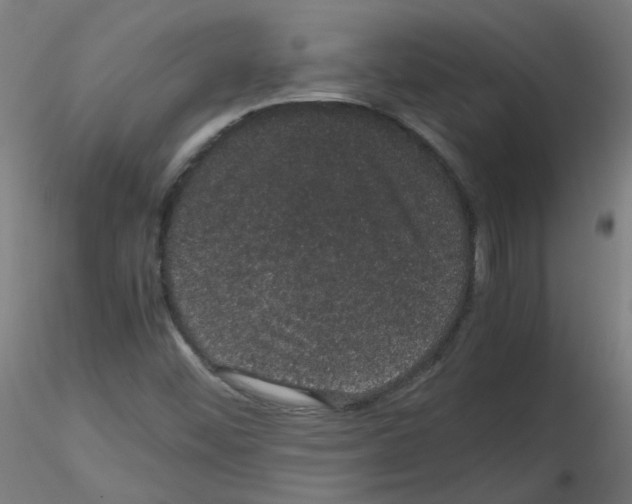 X0000116121452201001040940