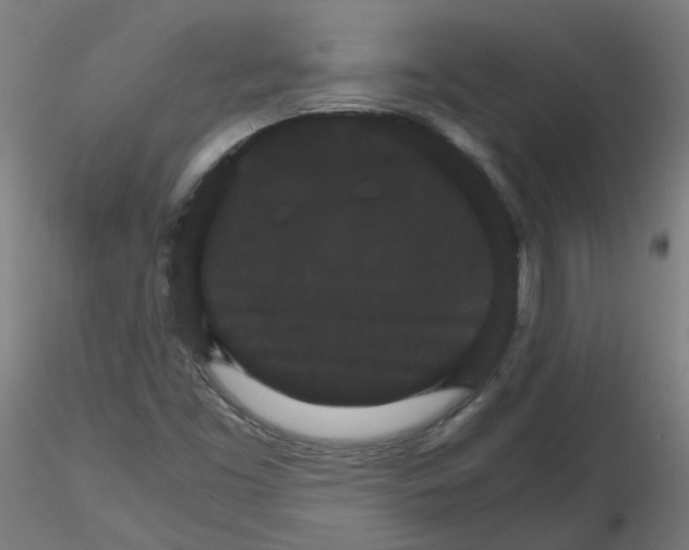 X0000116121453201001040940