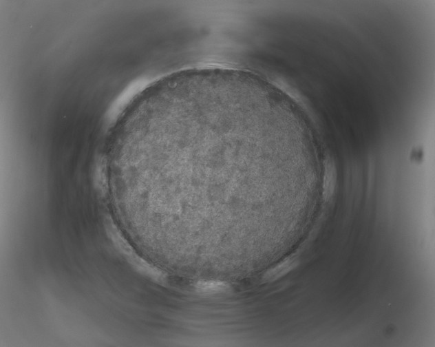 X0000116121454201001040940