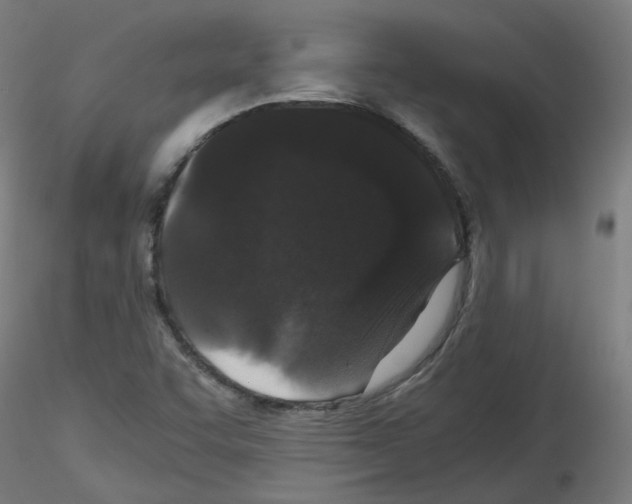 X0000116121455201001040940