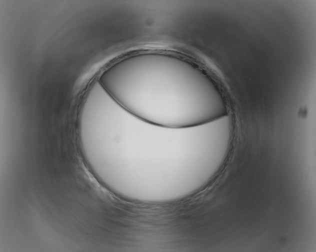X0000116121456201001040940