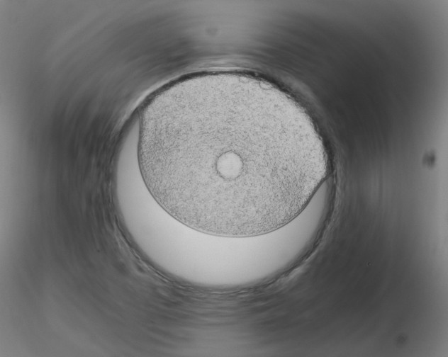 X0000116121457201001040940