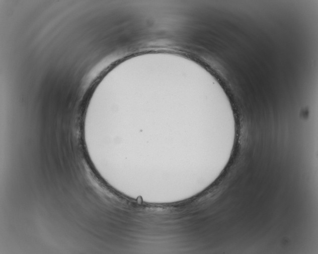X0000116121458201001040940