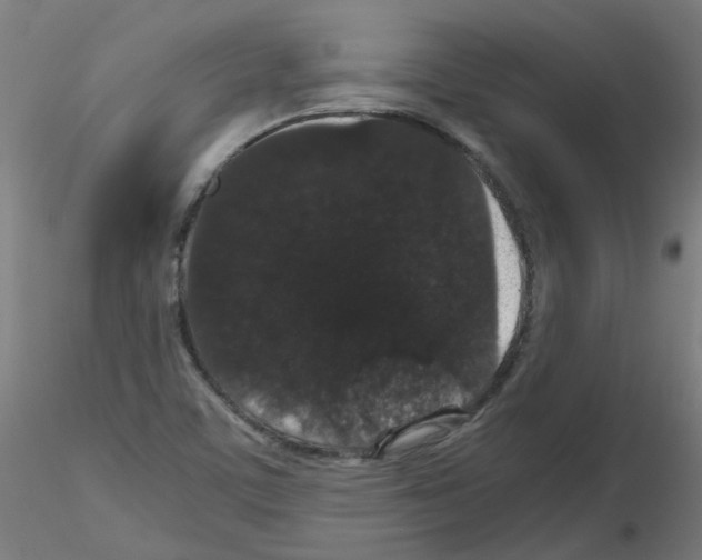 X0000116121459201001040940