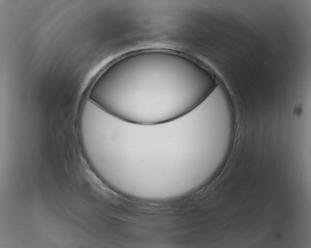 X0000116121460201001040940