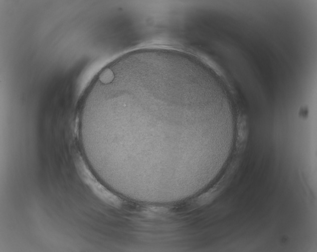 X0000116121462201001040940