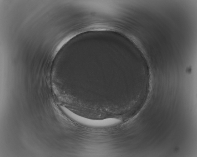 X0000116121465201001040940
