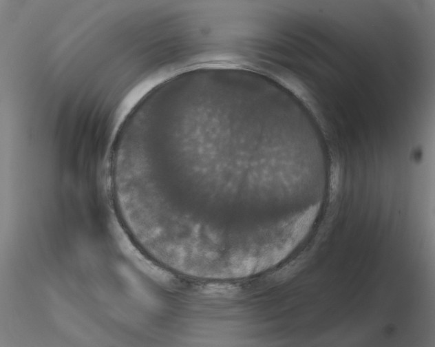 X0000116121466201001040940