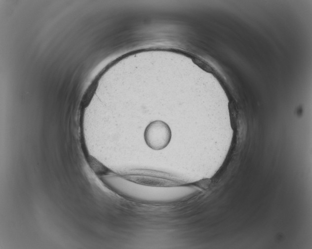 X0000116121468201001040940