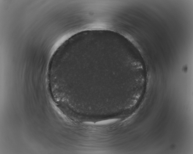 X0000116121469201001040940