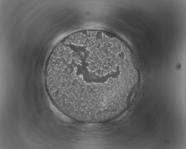 X0000116121471201001040940