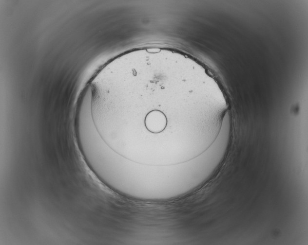 X0000116121472201001040940