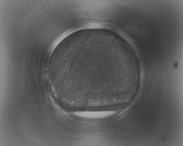 X0000116121473201001040940