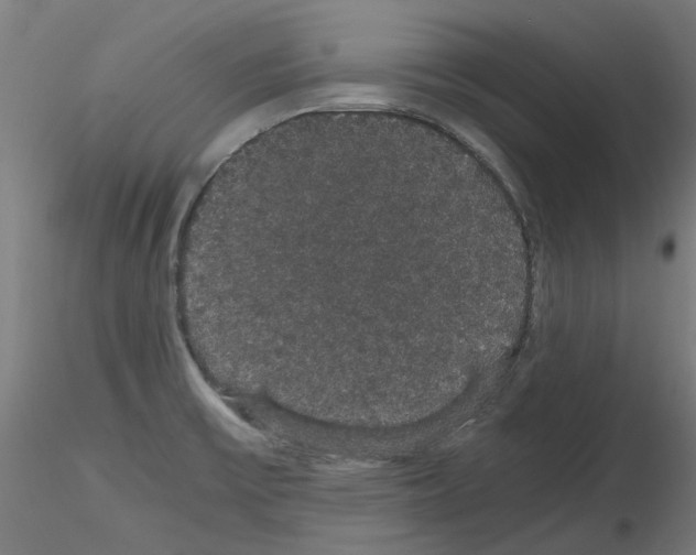 X0000116121475201001040940