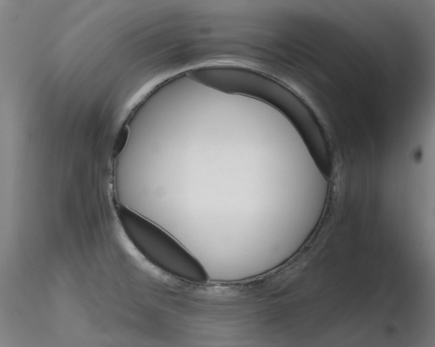 X0000116121476201001040940