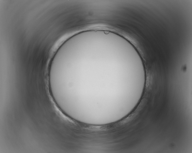 X0000116121478201001040940