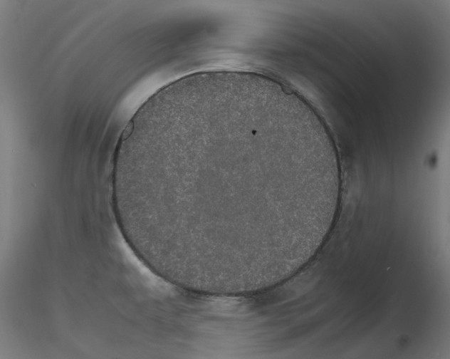 X0000116121479201001040940