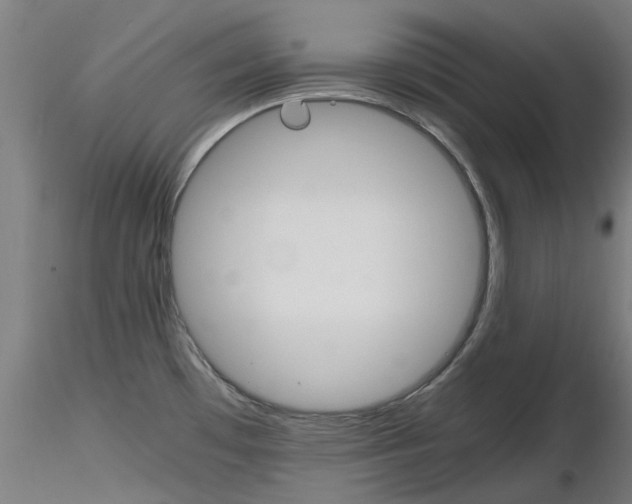 X0000116121481201001040940