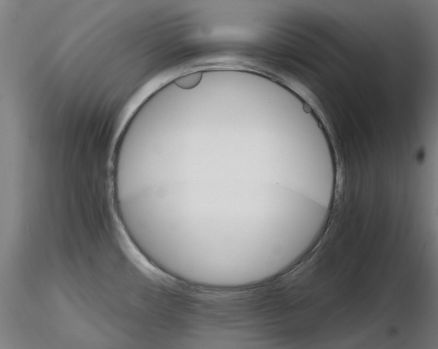 X0000116121482201001040940