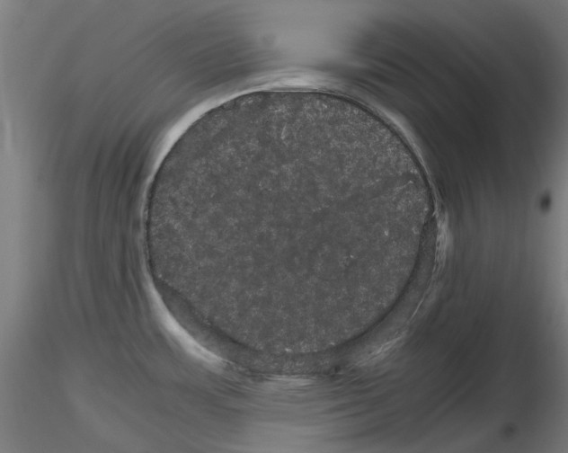 X0000116121483201001040940