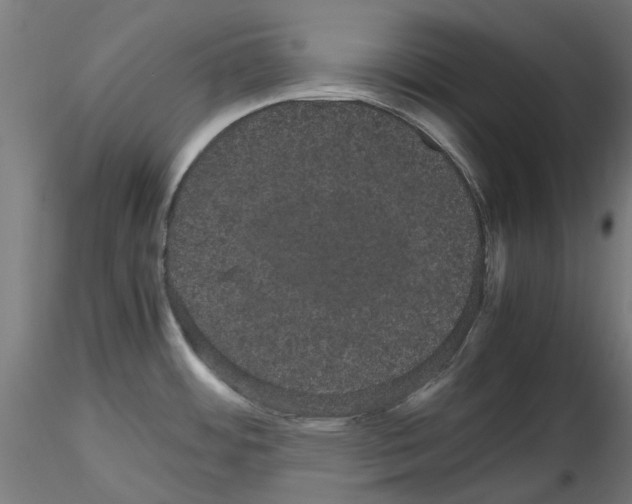 X0000116121484201001040940