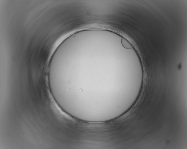 X0000116121486201001040940