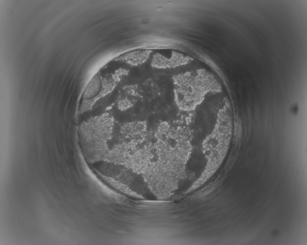 X0000116121487201001040940