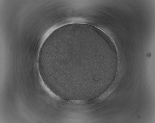 X0000116121488201001040940