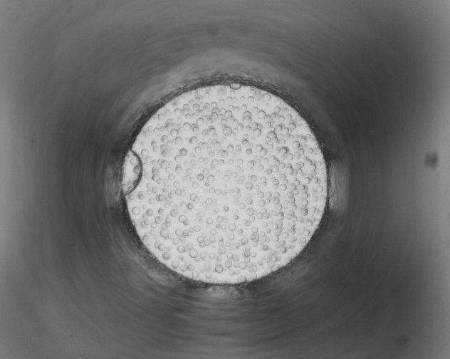 X0000116121491201001040939