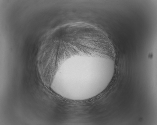 X0000116121493201001040939