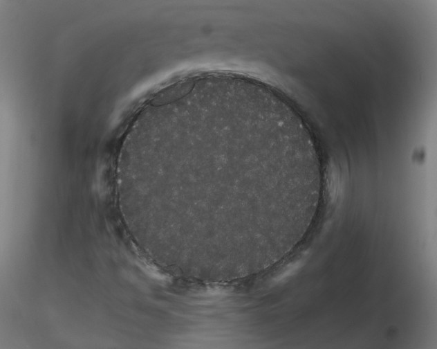 X0000116121494201001040939