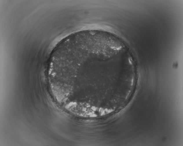 X0000116121497201001040939