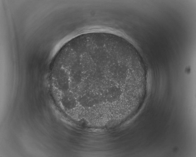 X0000116121501201001040939