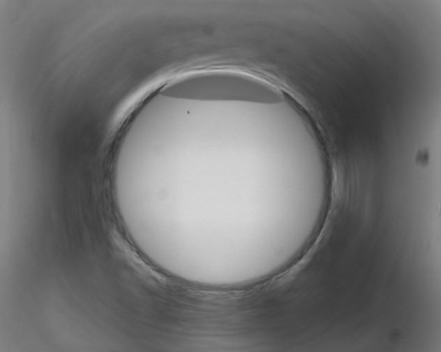 X0000116121502201001040939