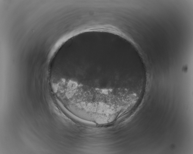 X0000116121506201001040939