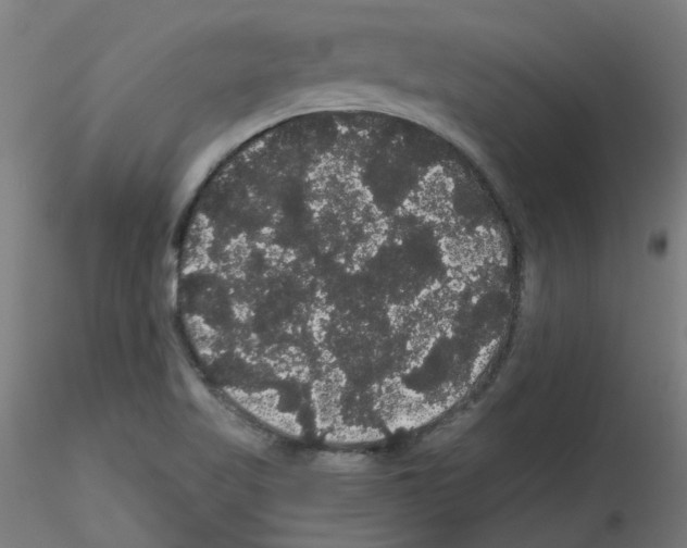 X0000116121509201001040939
