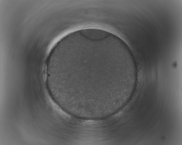 X0000116121510201001040939