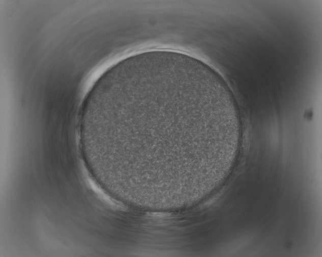 X0000116121511201001040939