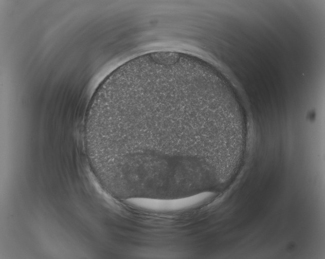 X0000116121513201001040939